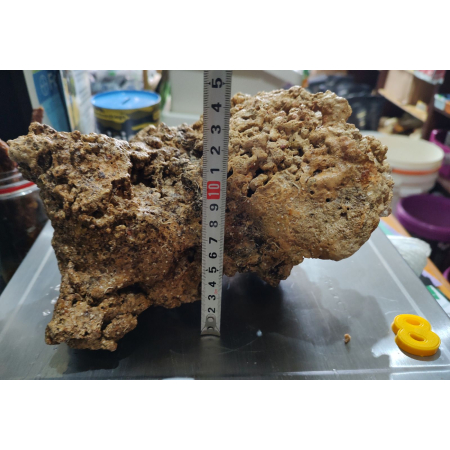 Żywa skała do akwarium morskiego - bryła nr. 8